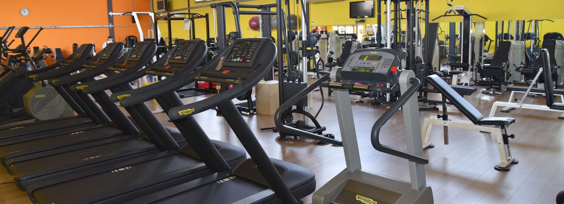 palestra_schede-allenamento
